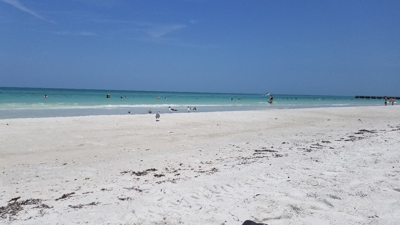 Coquina Beach All You Need to Know BEFORE You Go 2024