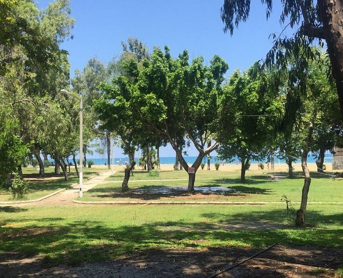adana da eskort kaprisli kadın