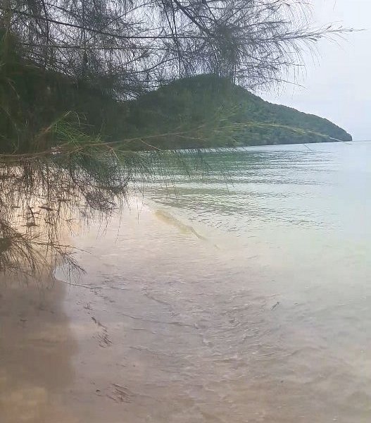 Loh Pared Bay Beach image
