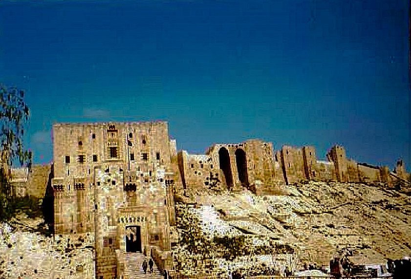 Aleppo Citadel image