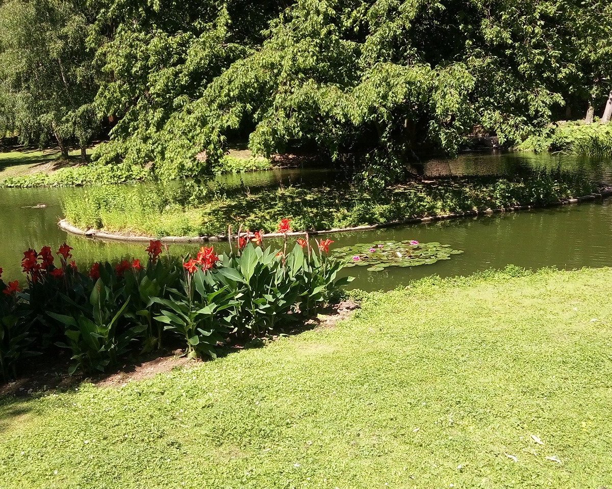 Der historische Kurpark in Bad Nauheim Alles wat u moet weten VOORDAT