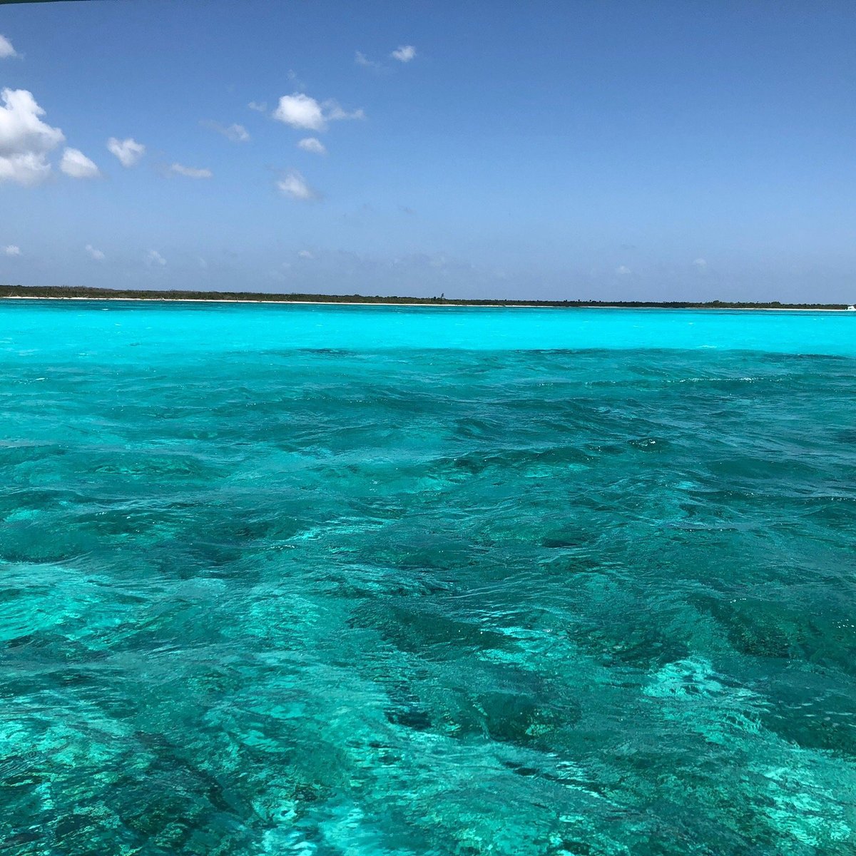 Introducir 70+ imagen el cielo cozumel mexico