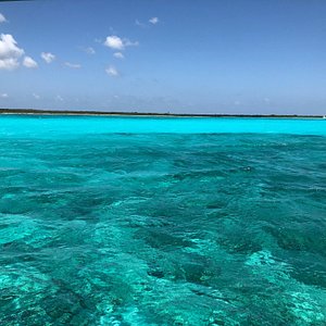 Isla Pasion (Cozumel) - All You Need to Know BEFORE You Go