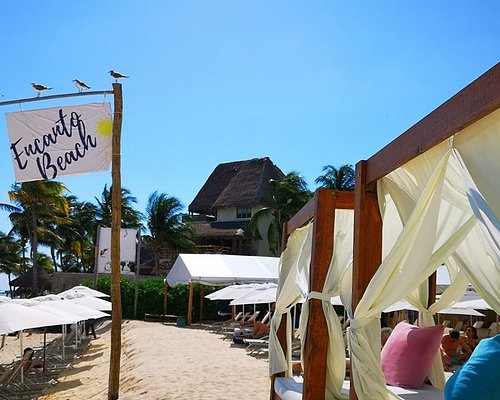 5 MEJORES Playa y clubes con piscina en Playa del Carmen (2023)
