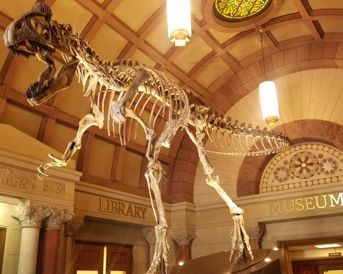 THE BEST Columbus Natural History Museums (with Photos)