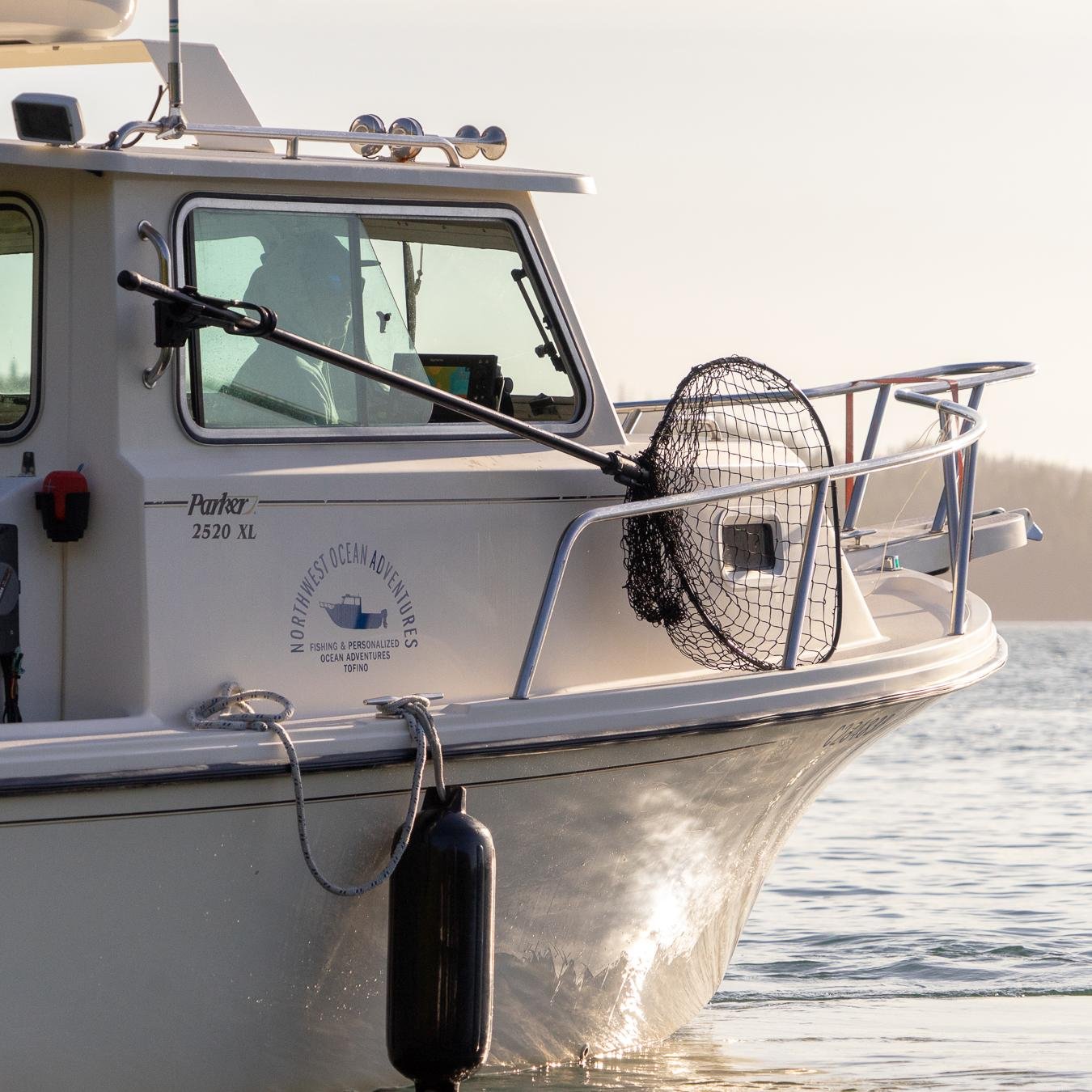 Tofino Ocean Adventures All You Need to Know BEFORE You Go 2024