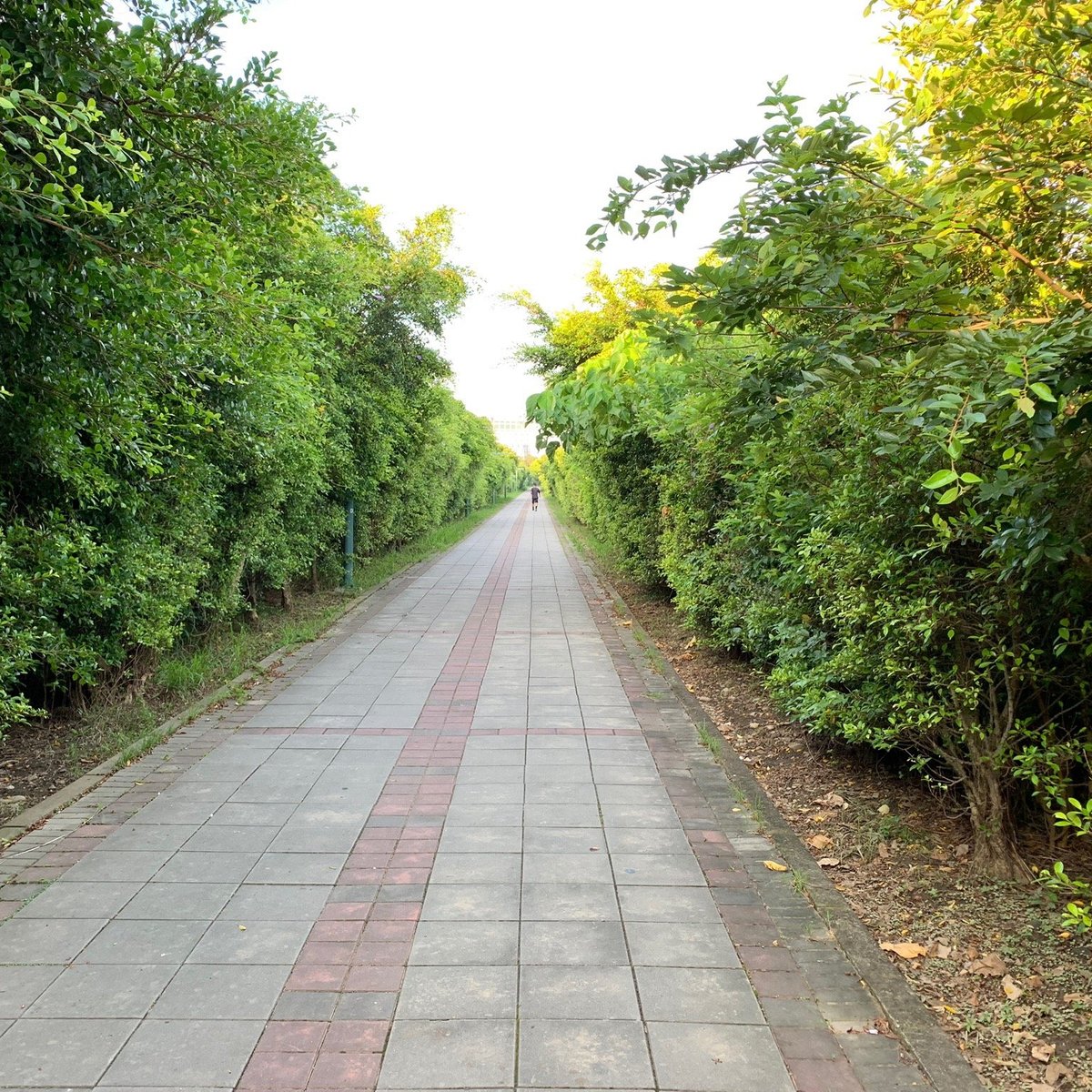 northern expressway bike path