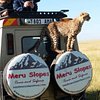 MERU SLOPES TOURS AND SAFARIS
