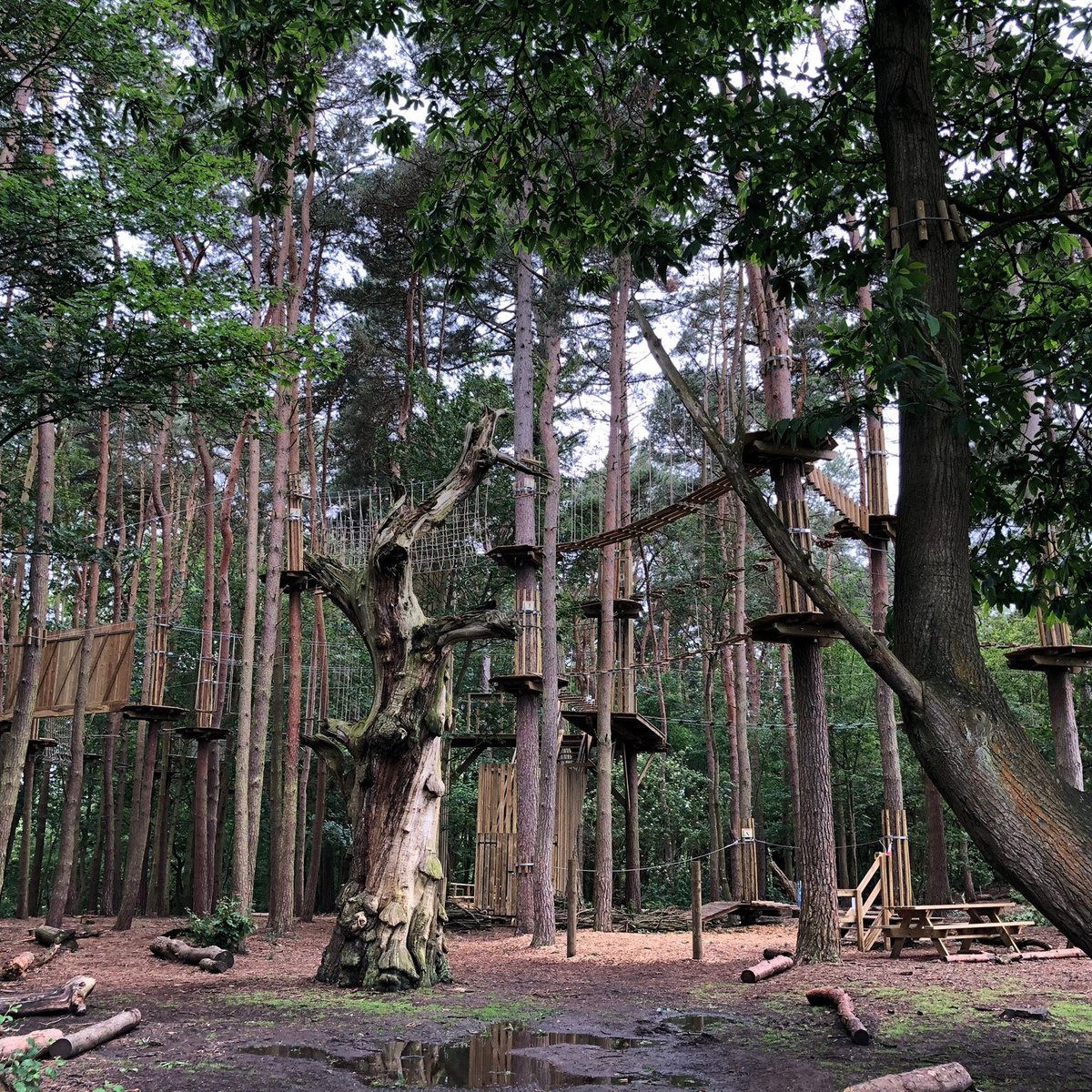 Go Ape Coventry Updated June 21 Top Tips Before You Go With Photos Tripadvisor