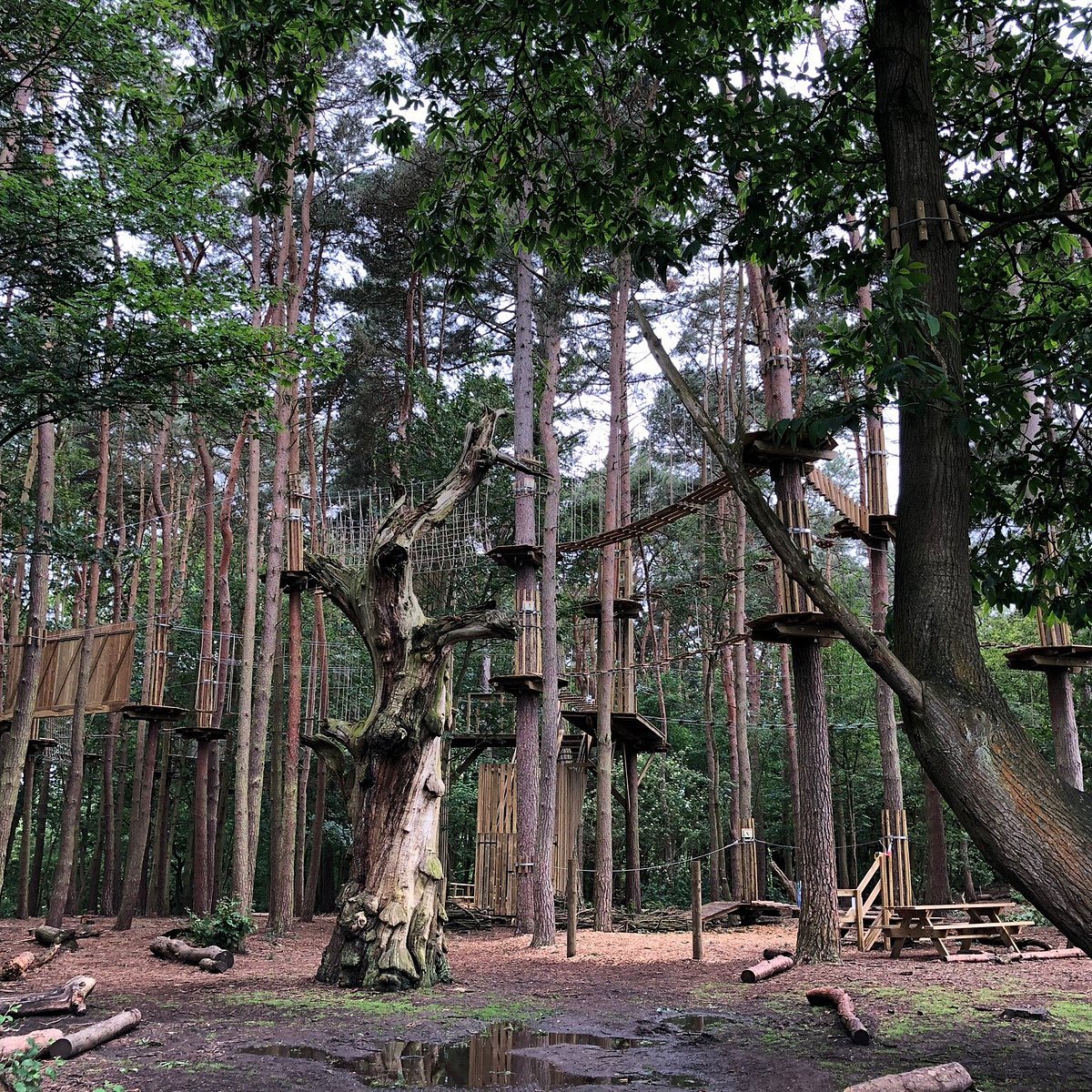 Go Ape Coventry Updated June 21 Top Tips Before You Go With Photos Tripadvisor Go Ape Coventry Updated June 21 Top Tips Before You Go With Photos Tripadvisor
