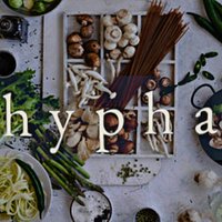 hypha