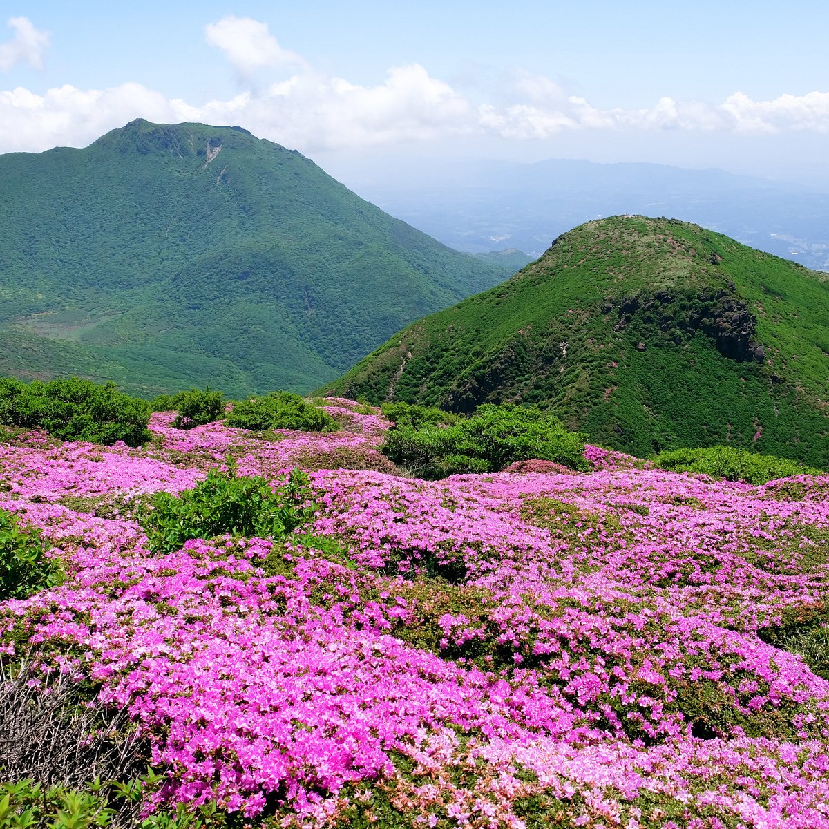 22年 九重連山 行く前に 見どころをチェック トリップアドバイザー