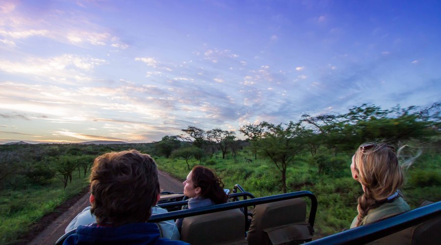 Authentic game drive experiences