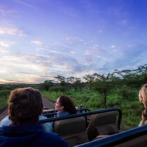 Authentic game drive experiences