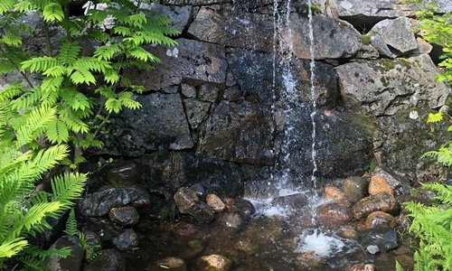 Arboretum Norr