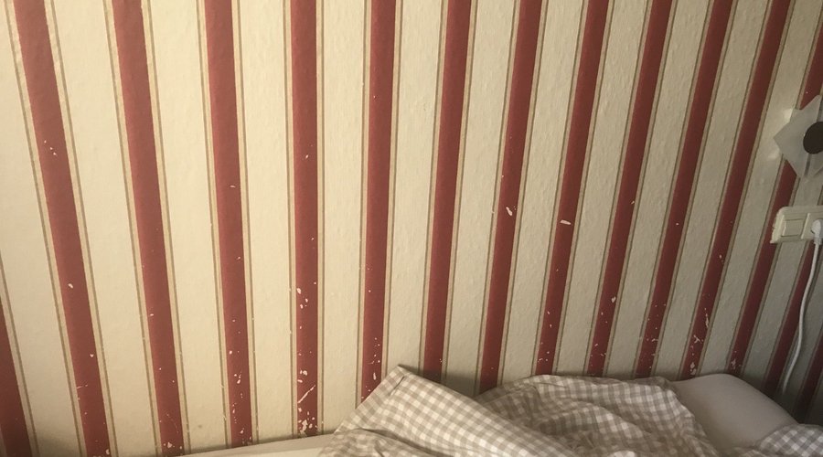 So sieht die Tapete in dem Zimmer aus!