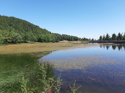 Ghiaccio sintetico (siberino) gr.400 ICEBlock Sandrigarden - Matteoda