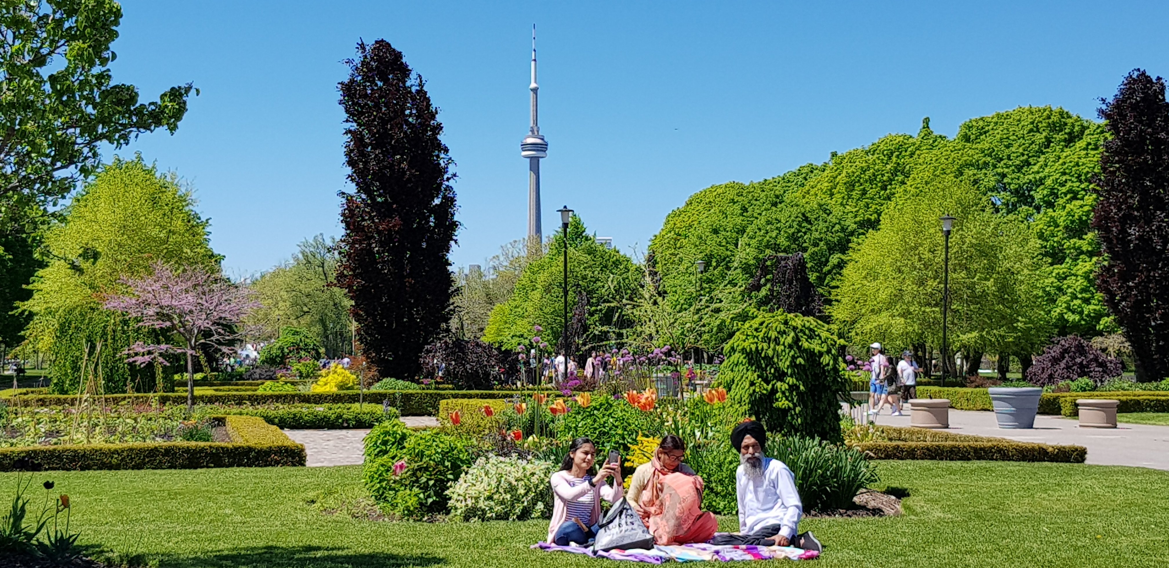 THE 15 BEST Things to Do in Toronto - 2023 (with Photos) - Tripadvisor