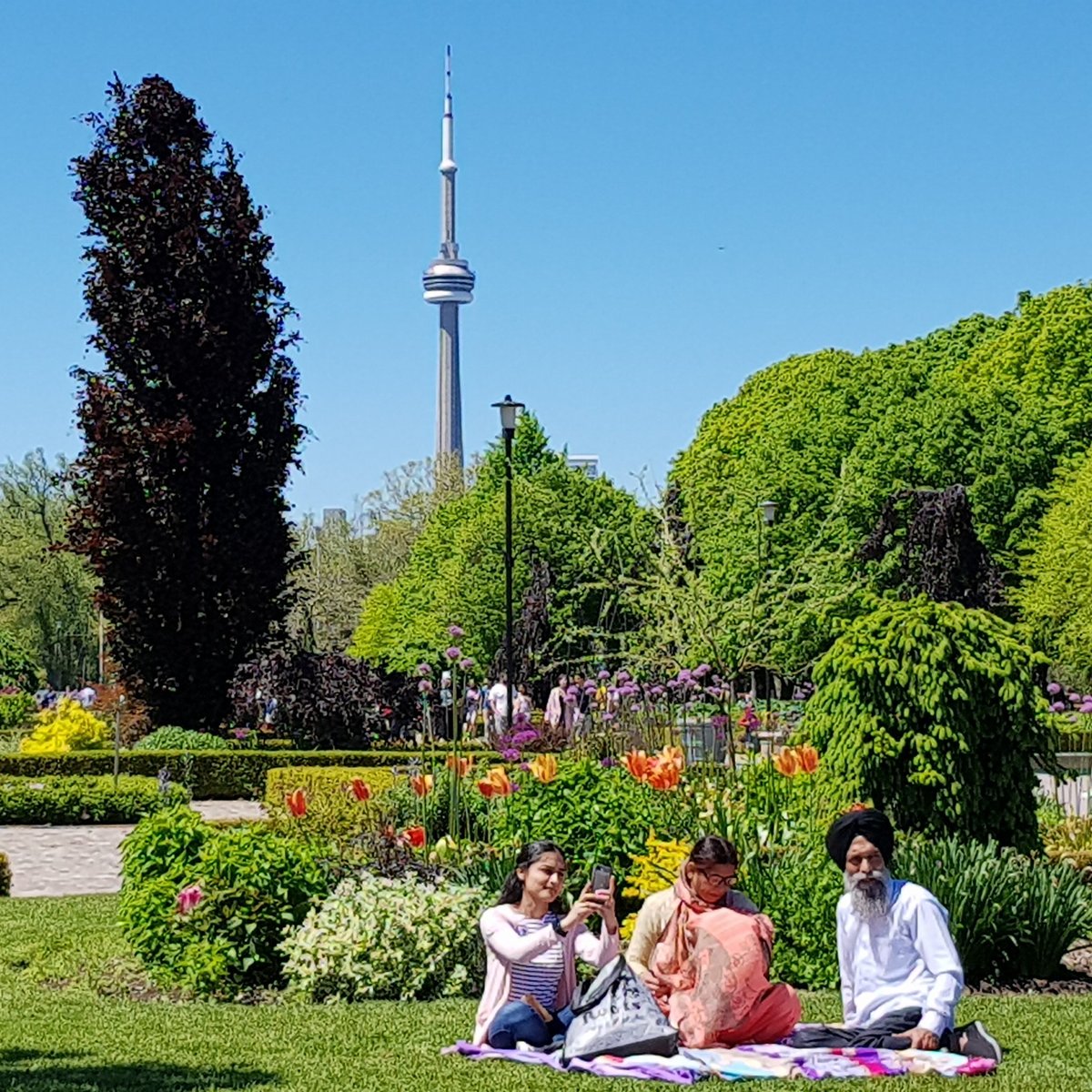 toronto-island-park-kanada-omd-men-tripadvisor