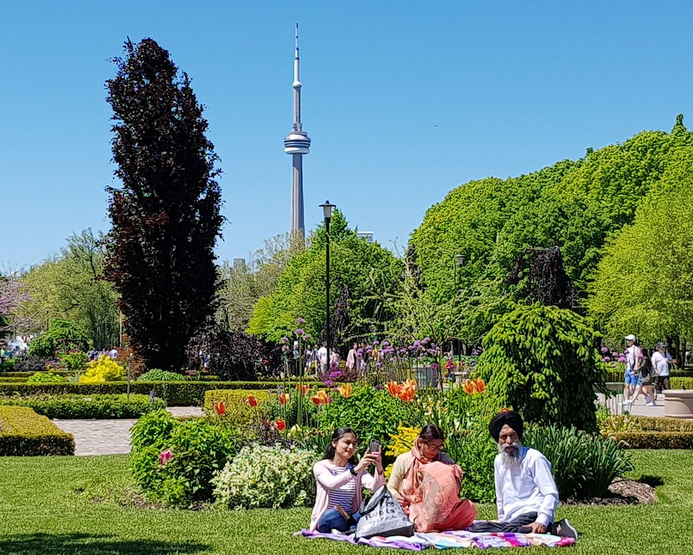 The Cn Tower Standing ?w=1000&h=800&s=1