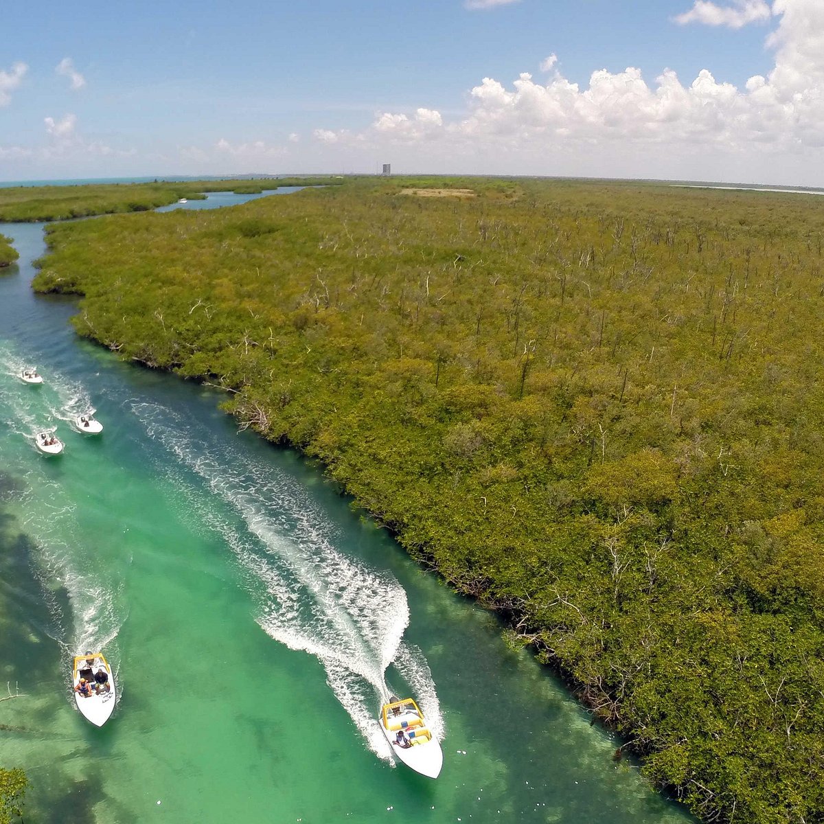 cancun jungle boat tour