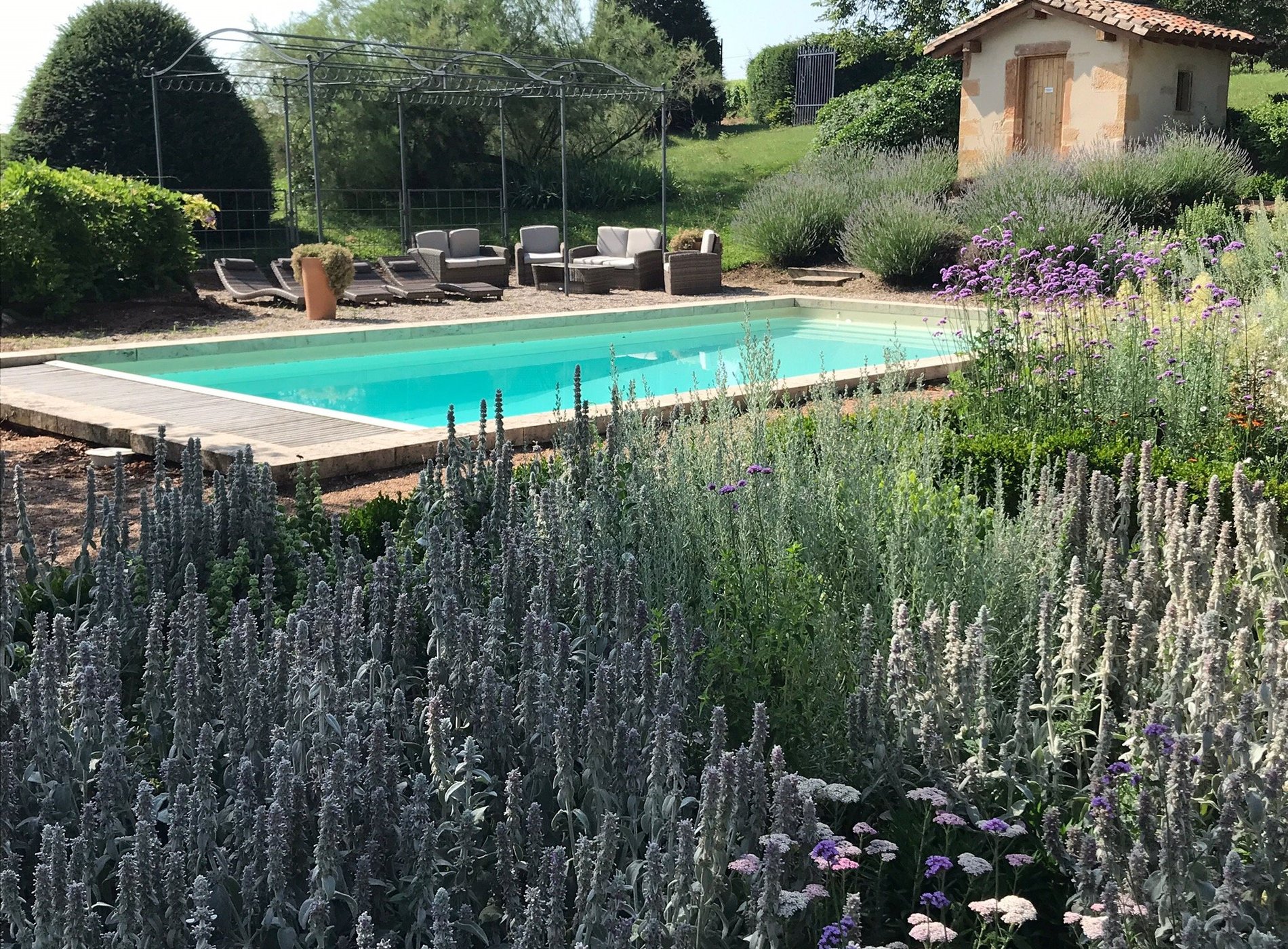 SCEA Domaine du Mont Verrier by null