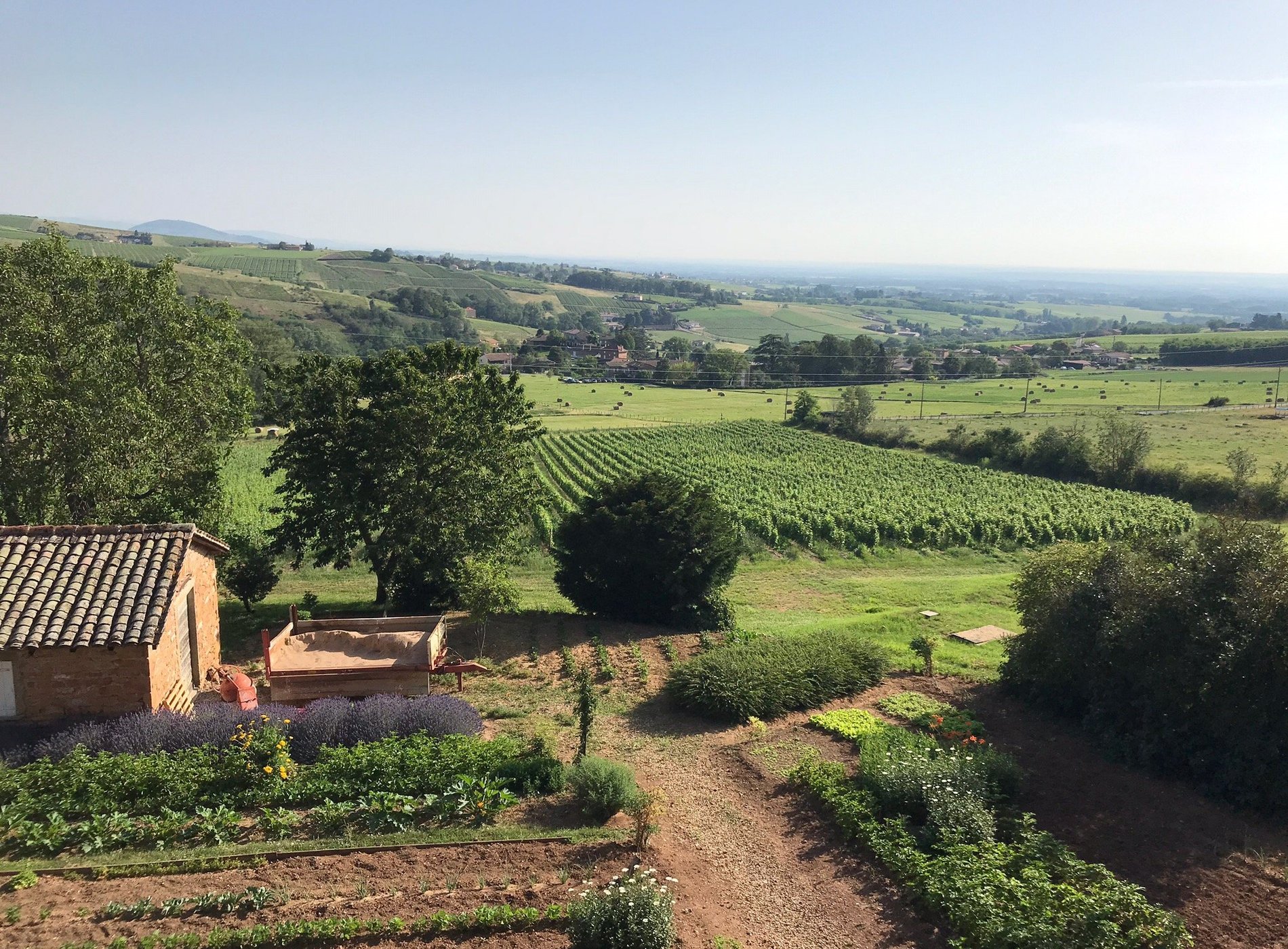 SCEA Domaine du Mont Verrier by null