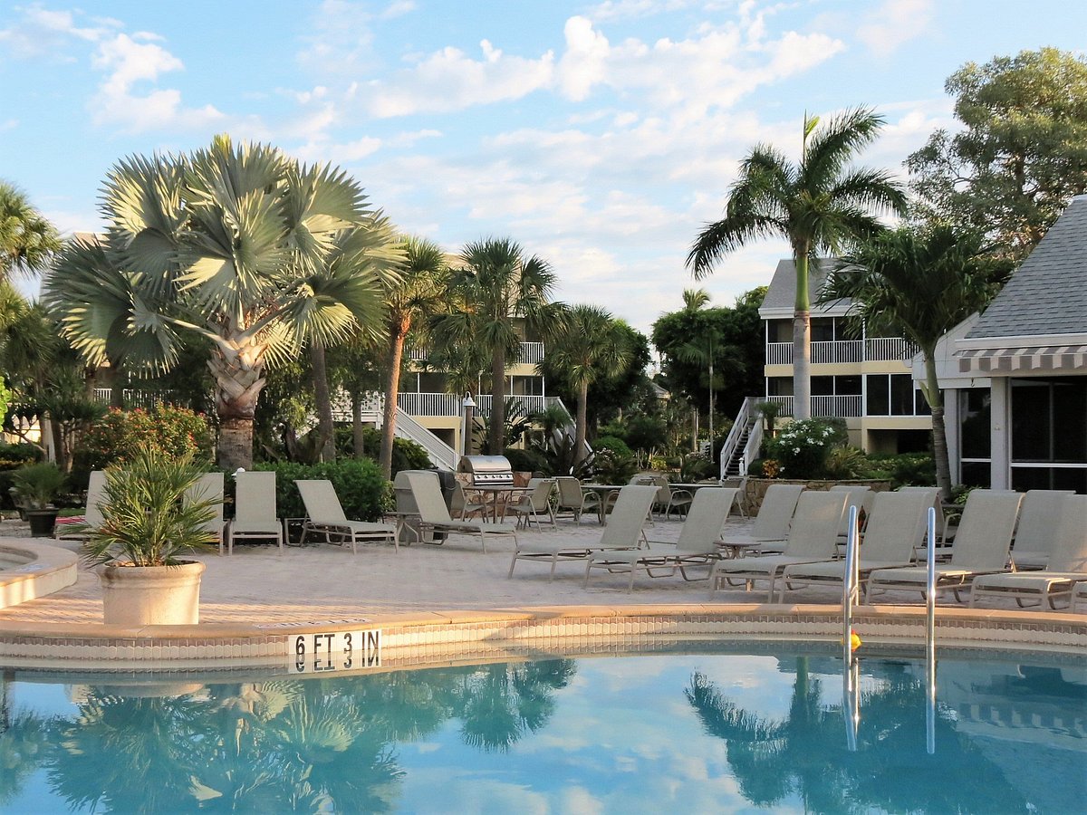 Tortuga Beach Club Resort Pool Pictures & Reviews Tripadvisor