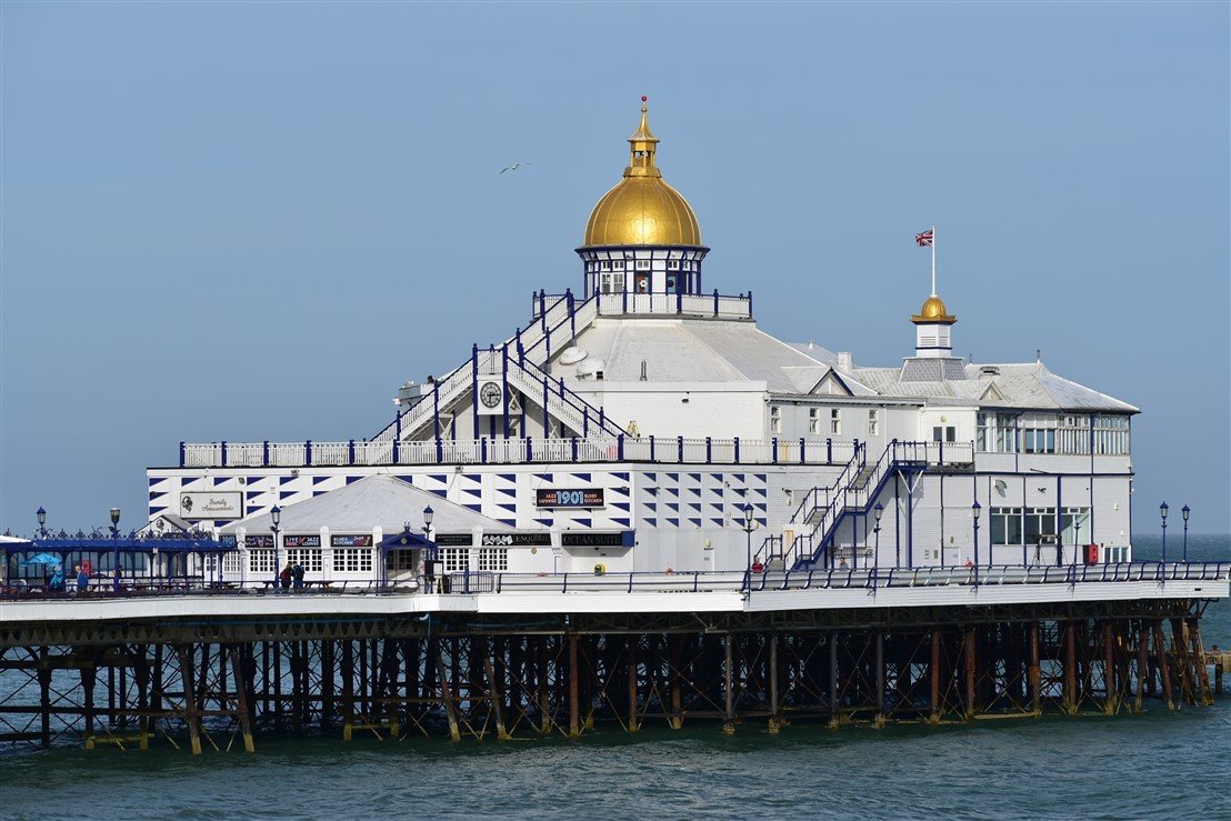 can dogs go on eastbourne pier