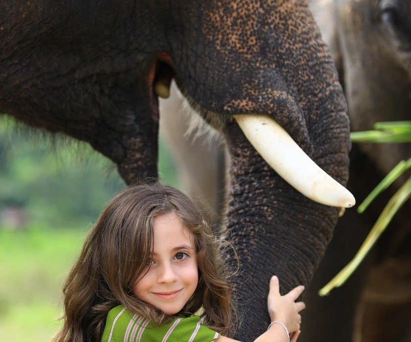 Patara Elephant Farm - Private Tours (Chiang Mai) - All You Need to ...