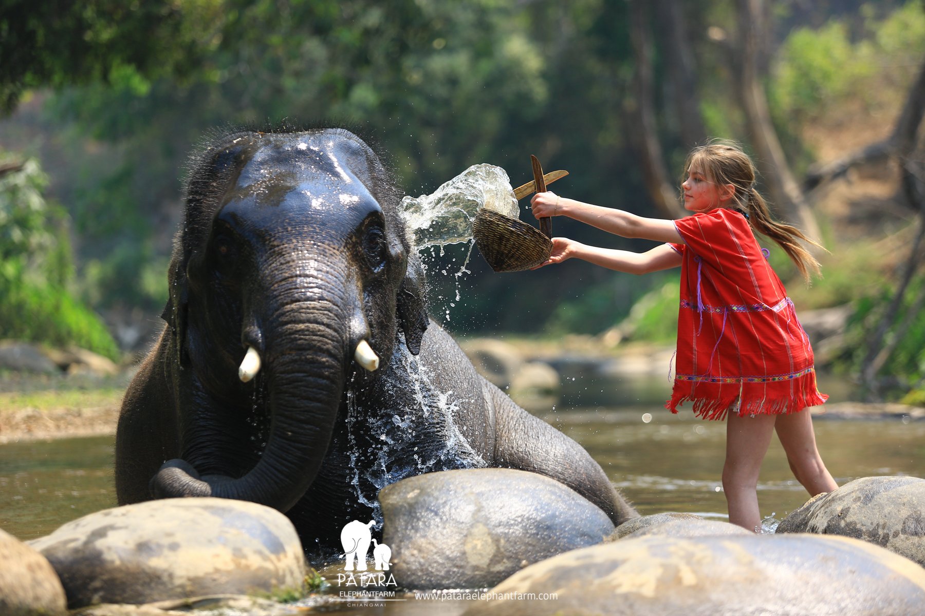 Patara Elephant Farm - Private Tours - All You Need to Know BEFORE