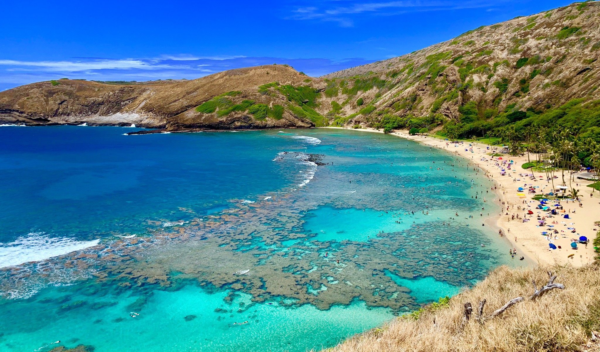 THE 15 BEST Things to Do in Honolulu 2024 (with Photos) Tripadvisor