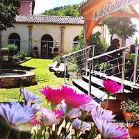 Un jardin fleuri...