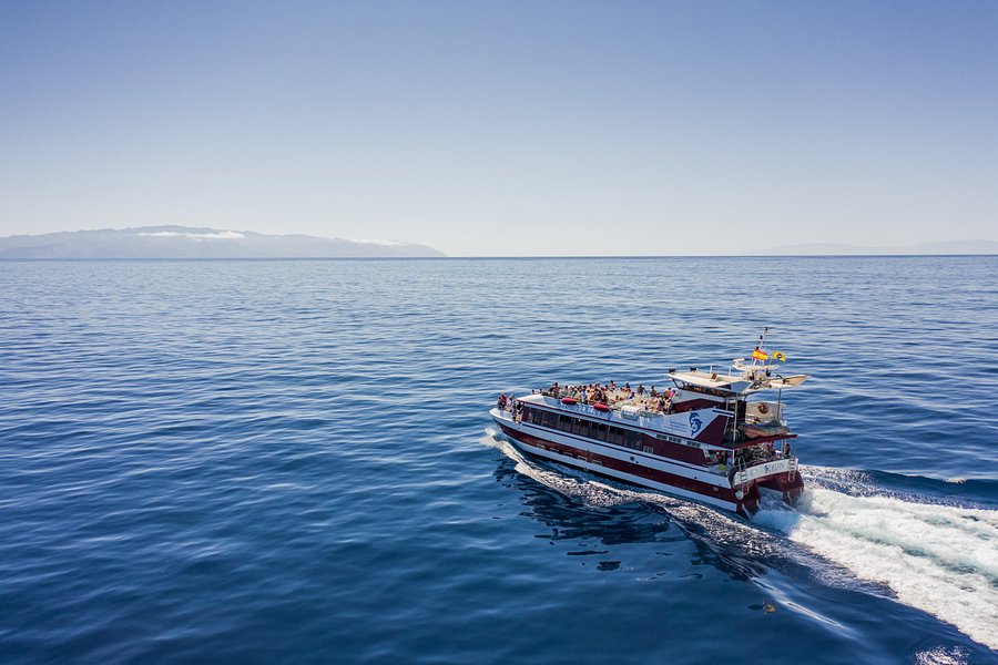 glass bottom boat tour tenerife