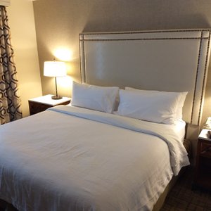 Room 459