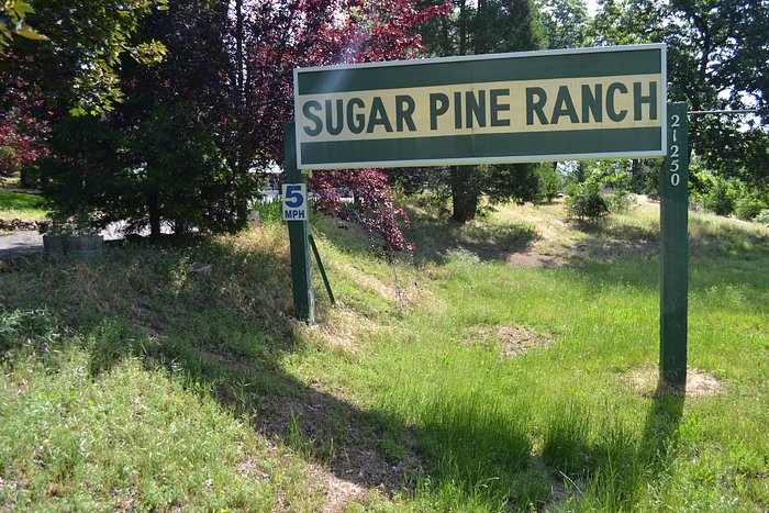 INN AT SUGAR PINE RANCH - Updated 2023 Prices (Groveland, CA)