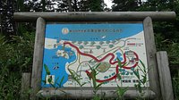 21年 十三湖中の島ブリッジパーク 行く前に 見どころをチェック トリップアドバイザー 21年 十三湖中の島ブリッジパーク 行く前に 見どころをチェック トリップアドバイザー