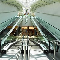 Scale mobili per il parcheggio sul tetto