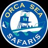 Orca Sea Safaris