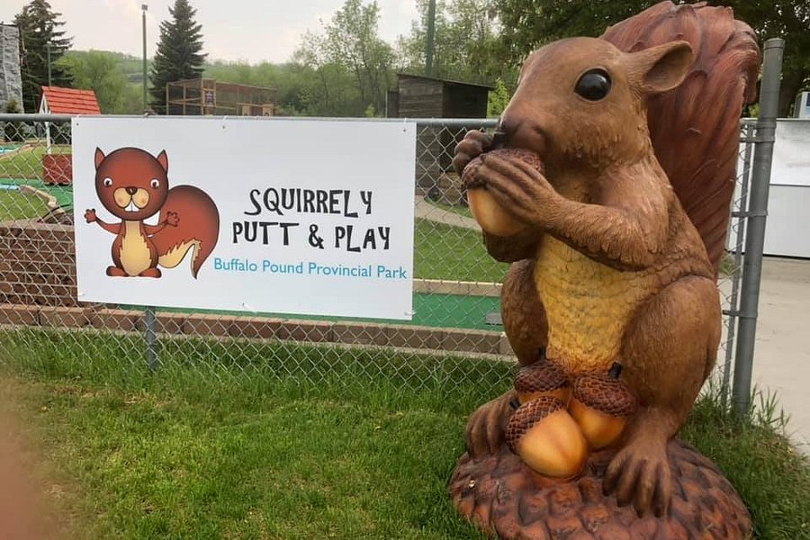 Squirrely Putt & Play image