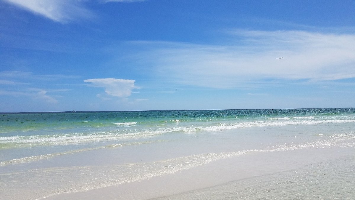 Escape to Paradise: Grayton Beach State Park, Florida's Hidden Gem