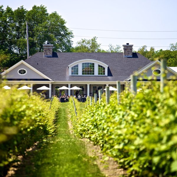 Croteaux Vineyards Southold 2022 All You Need To Know Before You Go With Photos Tripadvisor