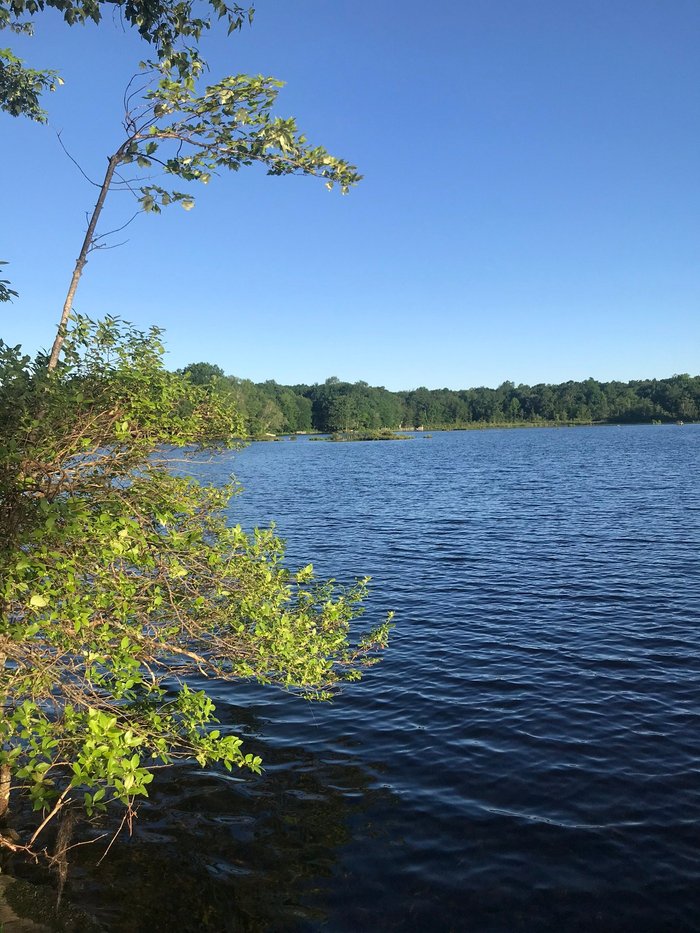 Otter Lake Camp Resort Tennis Court: Pictures Reviews Tripadvisor