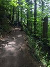 Rattlesnake Mountain Trail - All You Need to Know BEFORE You Go (2024)