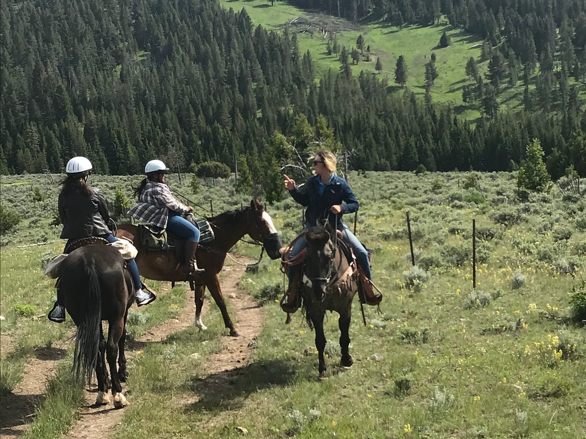 Canyon Adventures Horseback Day Tours (Big Sky) - All You Need to Know ...