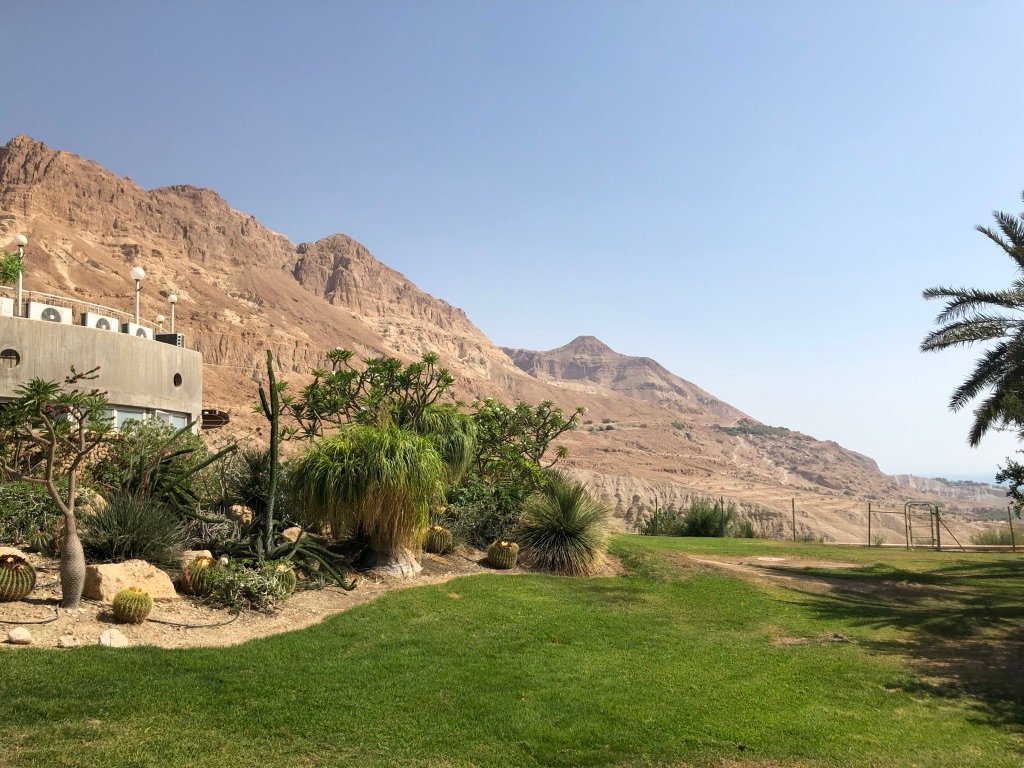 Ein Gedi Kibbutz Restaurant: Pictures & Reviews - Tripadvisor