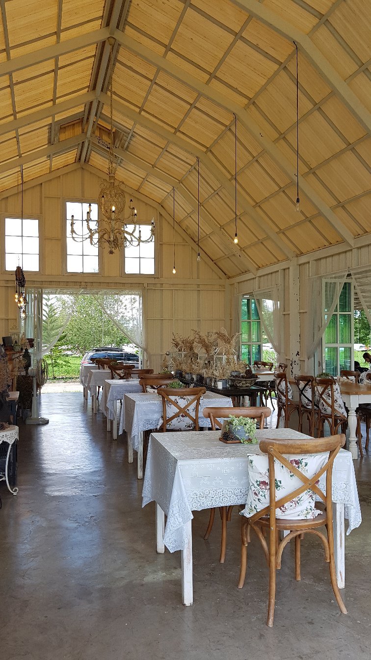 Jolly Cafe Tripadvisor