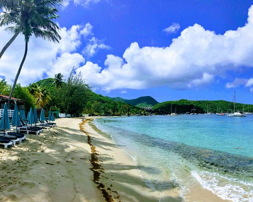 The Best Beaches in Martinique