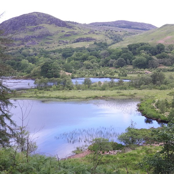 THE RAIDERS ROAD FOREST DRIVE (Dumfries and Galloway) - All You Need to ...