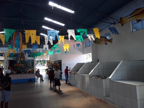 Instituicao Caruanas do Marajo Cultura e Ecologia - All You Need to Know  BEFORE You Go (with Photos)